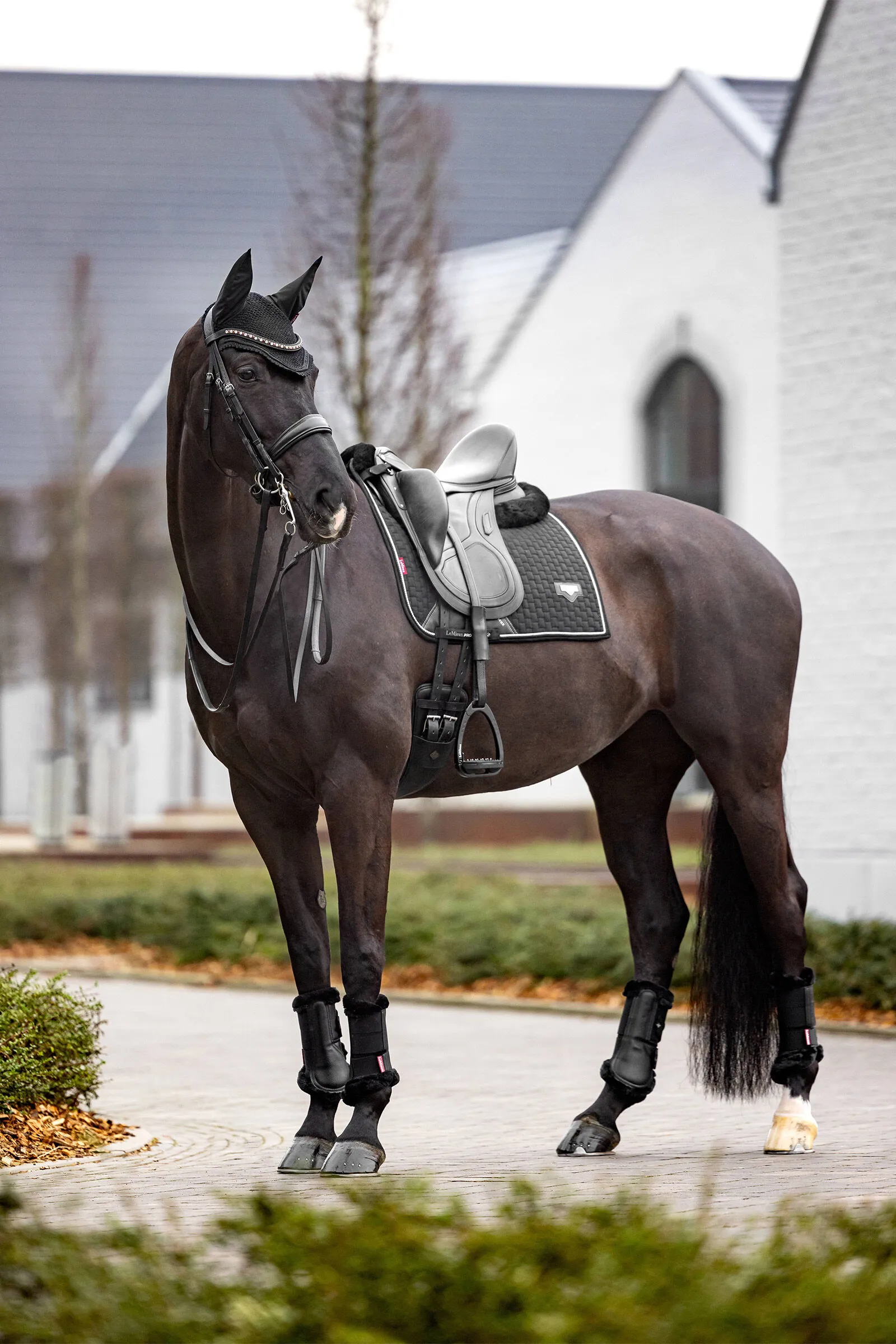LeMieux Tapis de selle de dressage Puissance Daim
